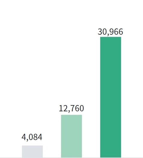 Other technical services such as system development: 30,026, S/W such as application programs: 10,984, H/W such as computer servers: 33,654 (KRW in millions)